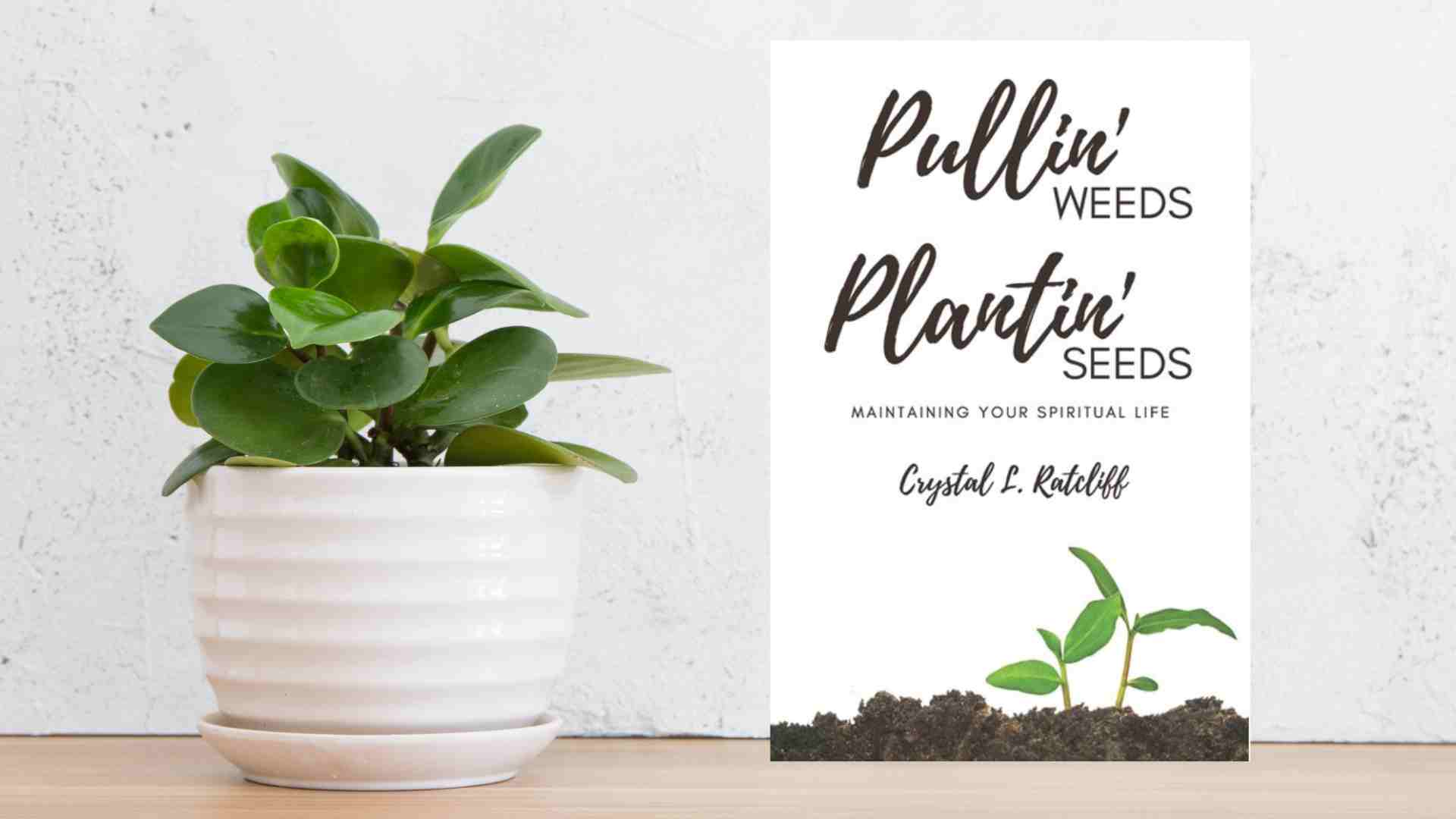 Plant Lovers