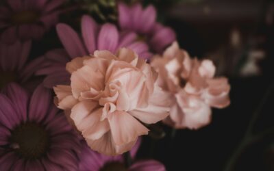 The Lasting Impact of a Mother’s Love